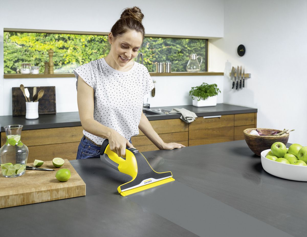 Karcher WV6 Plus N window Vac